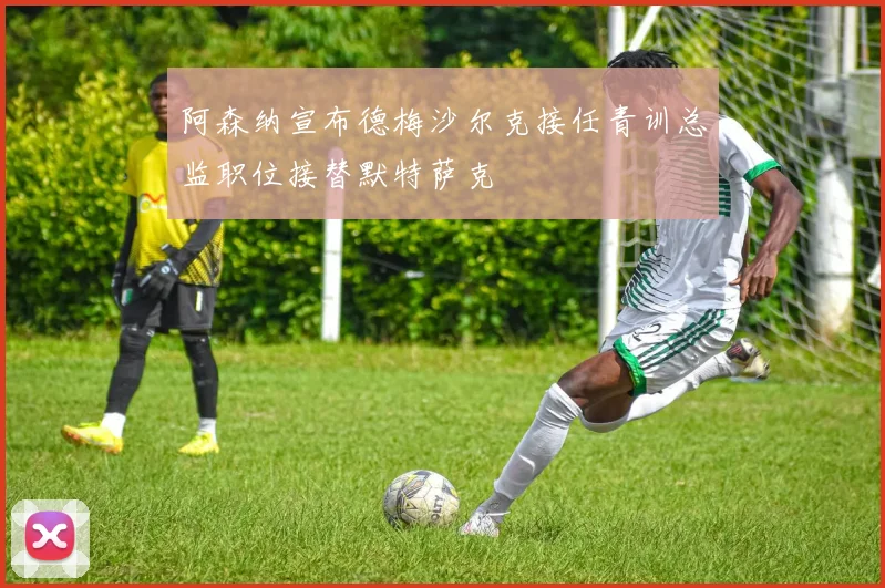 阿森纳宣布德梅沙尔克接任青训总监职位接替默特萨克