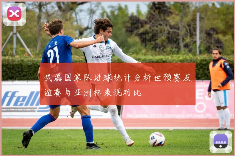 武磊国家队进球统计分析世预赛友谊赛与亚洲杯表现对比