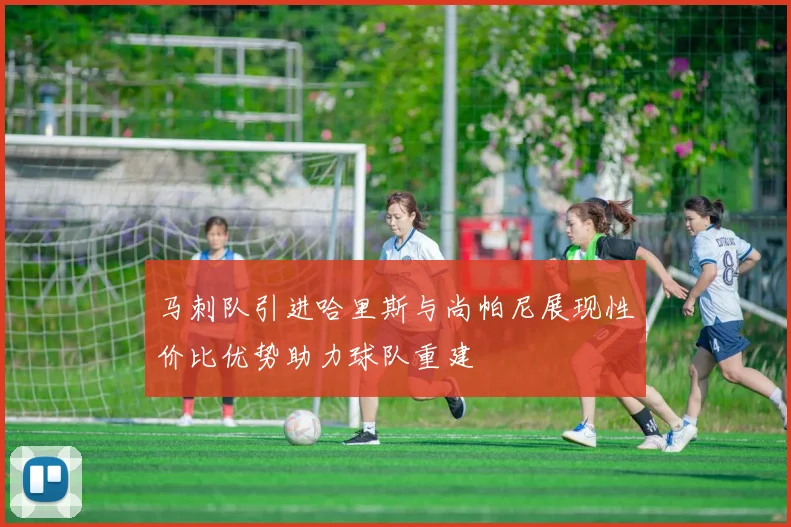 马刺队引进哈里斯与尚帕尼展现性价比优势助力球队重建